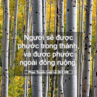 Picture 05 - Phục Truyền Luật Lệ 28:3 VIE - Ngươi sẽ được phước trong thành, và - Bible Verse Picture