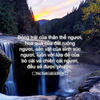 Picture 05 - Phục Truyền Luật Lệ 28:4 VIE - Bông trái của thân thể ngươi, hoa quả - Bible Verse Picture