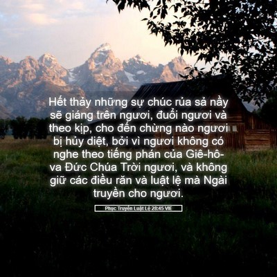 Picture 05 - Phục Truyền Luật Lệ 28:45 VIE - Hết thảy những sự chúc rủa sả nầy - Bible Verse Picture