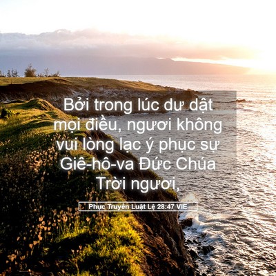 Picture 05 - Phục Truyền Luật Lệ 28:47 VIE - Bởi trong lúc dư dật mọi điều, ngươi - Bible Verse Picture