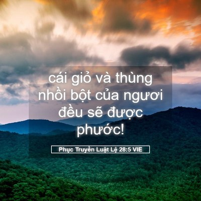 Picture 05 - Phục Truyền Luật Lệ 28:5 VIE - cái giỏ và thùng nhồi bột của ngươi - Bible Verse Picture