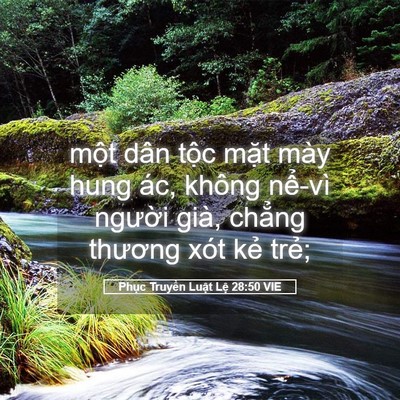Picture 05 - Phục Truyền Luật Lệ 28:50 VIE - một dân tộc mặt mày hung ác, không - Bible Verse Picture
