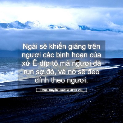 Picture 05 - Phục Truyền Luật Lệ 28:60 VIE - Ngài sẽ khiến giáng trên ngươi các - Bible Verse Picture