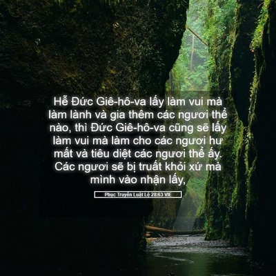 Picture 05 - Phục Truyền Luật Lệ 28:63 VIE - Hễ Đức Giê-hô-va lấy làm vui mà làm - Bible Verse Picture