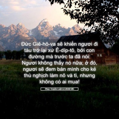 Picture 05 - Phục Truyền Luật Lệ 28:68 VIE - Đức Giê-hô-va sẽ khiến ngươi đi tàu - Bible Verse Picture