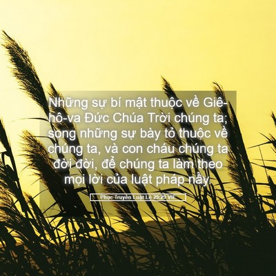 Picture 05 - Phục Truyền Luật Lệ 29:29 VIE - Những sự bí mật thuộc về Giê-hô-va - Bible Verse Picture