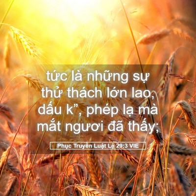 Picture 05 - Phục Truyền Luật Lệ 29:3 VIE - tức là những sự thử thách lớn lao, - Bible Verse Picture