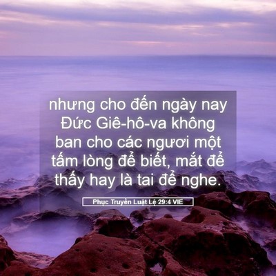 Picture 05 - Phục Truyền Luật Lệ 29:4 VIE - nhưng cho đến ngày nay Đức Giê-hô-va - Bible Verse Picture