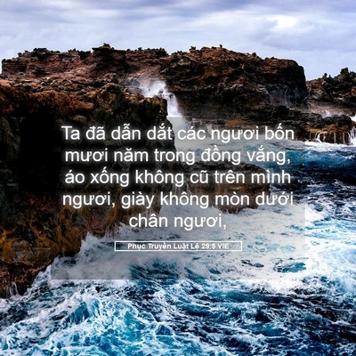 Picture 05 - Phục Truyền Luật Lệ 29:5 VIE - Ta đã dẫn dắt các ngươi bốn mươi - Bible Verse Picture