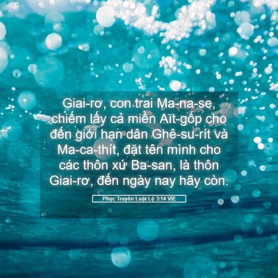 Picture 05 - Phục Truyền Luật Lệ 3:14 VIE - Giai-rơ, con trai Ma-na-se, chiếm lấy cả - Bible Verse Picture