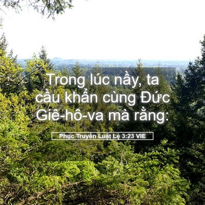 Picture 05 - Phục Truyền Luật Lệ 3:23 VIE - Trong lúc nầy, ta cầu khẩn cùng Đức - Bible Verse Picture