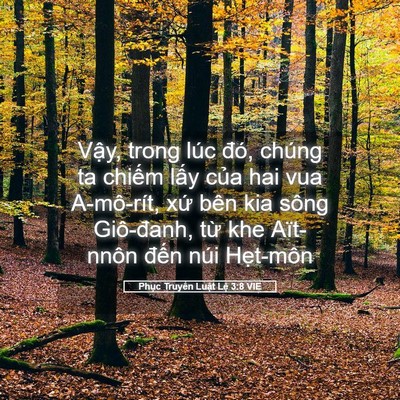 Picture 05 - Phục Truyền Luật Lệ 3:8 VIE - Vậy, trong lúc đó, chúng ta chiếm lấy - Bible Verse Picture
