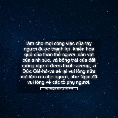 Picture 05 - Phục Truyền Luật Lệ 30:10 VIE - làm cho mọi công việc của tay ngươi - Bible Verse Picture