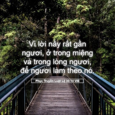Picture 05 - Phục Truyền Luật Lệ 30:14 VIE - Vì lời nầy rất gần ngươi, ở trong - Bible Verse Picture
