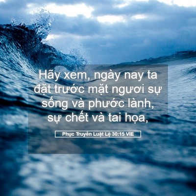 Picture 05 - Phục Truyền Luật Lệ 30:15 VIE - Hãy xem, ngày nay ta đặt trước mặt - Bible Verse Picture