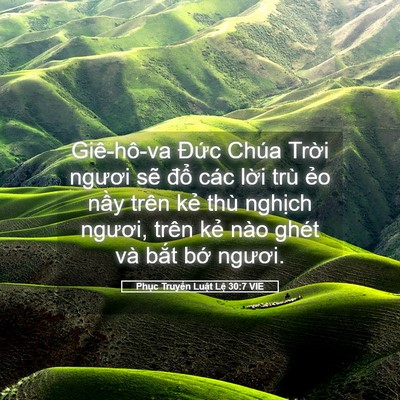 Picture 05 - Phục Truyền Luật Lệ 30:7 VIE - Giê-hô-va Đức Chúa Trời ngươi sẽ - Bible Verse Picture