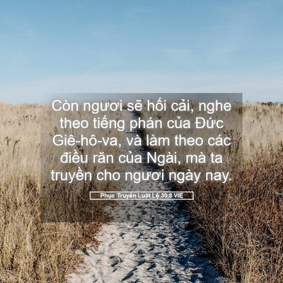 Picture 05 - Phục Truyền Luật Lệ 30:8 VIE - Còn ngươi sẽ hối cải, nghe theo tiếng - Bible Verse Picture