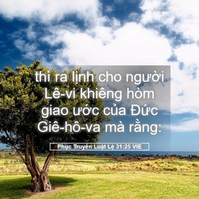 Picture 05 - Phục Truyền Luật Lệ 31:25 VIE - thì ra lịnh cho người Lê-vi khiêng hòm - Bible Verse Picture