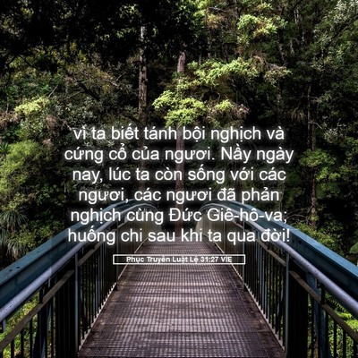 Picture 05 - Phục Truyền Luật Lệ 31:27 VIE - vì ta biết tánh bội nghịch và cứng - Bible Verse Picture