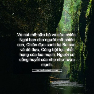 Picture 05 - Phục Truyền Luật Lệ 32:14 VIE - Và nút mỡ sữa bò và sữa chiên. Ngài - Bible Verse Picture
