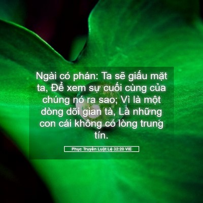 Picture 05 - Phục Truyền Luật Lệ 32:20 VIE - Ngài có phán: Ta sẽ giấu mặt ta, Để - Bible Verse Picture