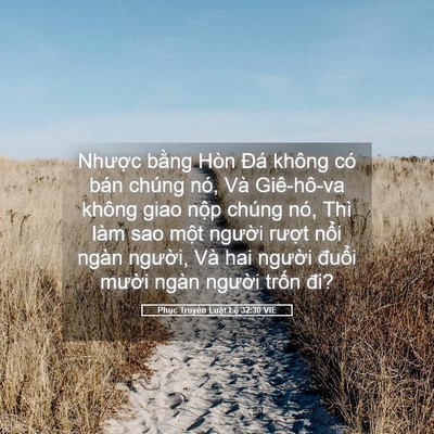 Picture 05 - Phục Truyền Luật Lệ 32:30 VIE - Nhược bằng Hòn Đá không có bán chúng - Bible Verse Picture