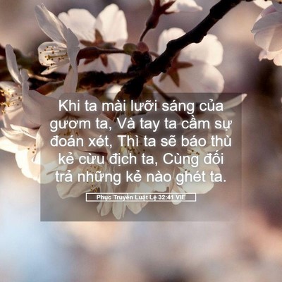 Picture 05 - Phục Truyền Luật Lệ 32:41 VIE - Khi ta mài lưỡi sáng của gươm ta, Và - Bible Verse Picture