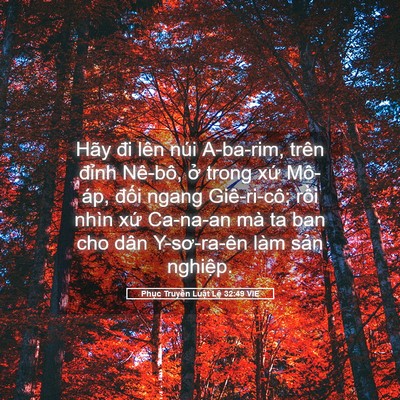 Picture 05 - Phục Truyền Luật Lệ 32:49 VIE - Hãy đi lên núi A-ba-rim, trên đỉnh - Bible Verse Picture