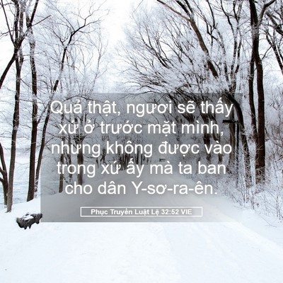 Picture 05 - Phục Truyền Luật Lệ 32:52 VIE - Quả thật, ngươi sẽ thấy xứ ở - Bible Verse Picture