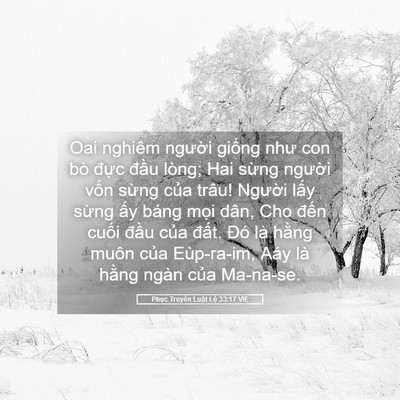 Picture 05 - Phục Truyền Luật Lệ 33:17 VIE - Oai nghiêm người giống như con bò đực - Bible Verse Picture