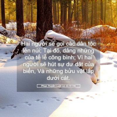 Picture 05 - Phục Truyền Luật Lệ 33:19 VIE - Hai người sẽ gọi các dân tộc lên - Bible Verse Picture