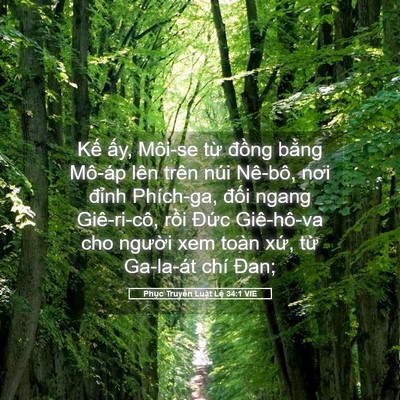 Picture 05 - Phục Truyền Luật Lệ 34:1 VIE - Kế ấy, Môi-se từ đồng bằng Mô-áp - Bible Verse Picture
