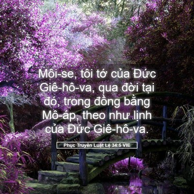 Picture 05 - Phục Truyền Luật Lệ 34:5 VIE - Môi-se, tôi tớ của Đức Giê-hô-va, qua - Bible Verse Picture