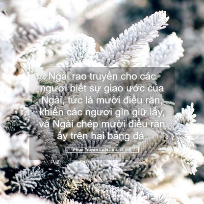Picture 05 - Phục Truyền Luật Lệ 4:13 VIE - Ngài rao truyền cho các ngươi biết sự - Bible Verse Picture
