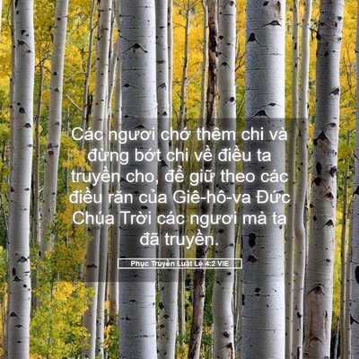 Picture 05 - Phục Truyền Luật Lệ 4:2 VIE - Các ngươi chớ thêm chi và đừng bớt - Bible Verse Picture