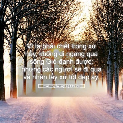 Picture 05 - Phục Truyền Luật Lệ 4:22 VIE - Vì ta phải chết trong xứ nầy, không đi - Bible Verse Picture
