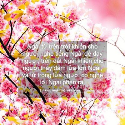 Picture 05 - Phục Truyền Luật Lệ 4:36 VIE - Ngài từ trên trời khiến cho ngươi nghe - Bible Verse Picture