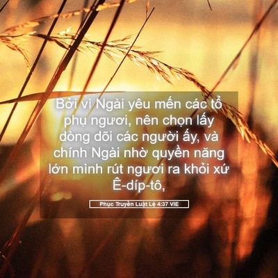 Picture 05 - Phục Truyền Luật Lệ 4:37 VIE - Bởi vì Ngài yêu mến các tổ phụ - Bible Verse Picture