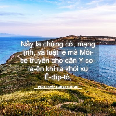 Picture 05 - Phục Truyền Luật Lệ 4:45 VIE - Nầy là chứng cớ, mạng lịnh, và luật - Bible Verse Picture