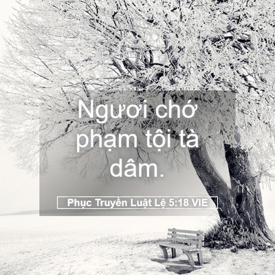 Picture 05 - Phục Truyền Luật Lệ 5:18 VIE - Ngươi chớ phạm tội tà - Bible Verse Picture