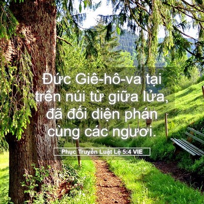 Picture 05 - Phục Truyền Luật Lệ 5:4 VIE - Đức Giê-hô-va tại trên núi từ giữa - Bible Verse Picture