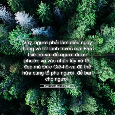 Picture 05 - Phục Truyền Luật Lệ 6:18 VIE - Vậy, ngươi phải làm điều ngay thẳng - Bible Verse Picture