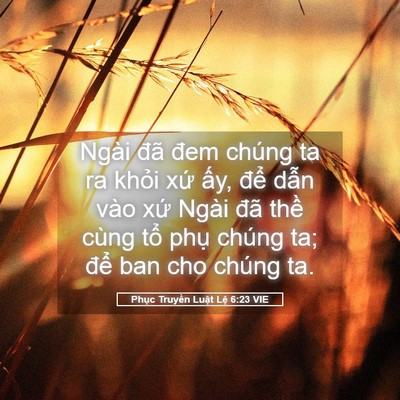 Picture 05 - Phục Truyền Luật Lệ 6:23 VIE - Ngài đã đem chúng ta ra khỏi xứ ấy, - Bible Verse Picture