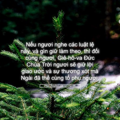 Picture 05 - Phục Truyền Luật Lệ 7:12 VIE - Nếu ngươi nghe các luật lệ nầy, và - Bible Verse Picture