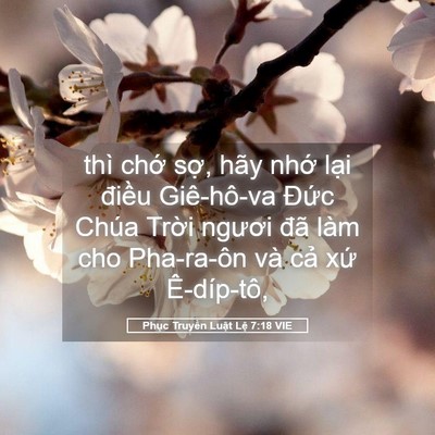 Picture 05 - Phục Truyền Luật Lệ 7:18 VIE - thì chớ sợ, hãy nhớ lại điều - Bible Verse Picture
