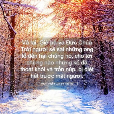 Picture 05 - Phục Truyền Luật Lệ 7:20 VIE - Vả lại, Giê-hô-va Đức Chúa Trời - Bible Verse Picture