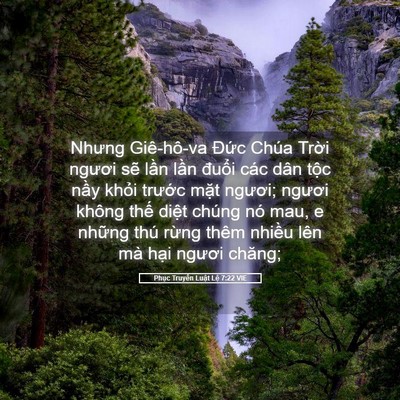 Picture 05 - Phục Truyền Luật Lệ 7:22 VIE - Nhưng Giê-hô-va Đức Chúa Trời ngươi - Bible Verse Picture