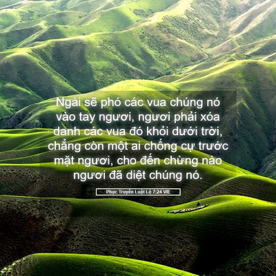 Picture 05 - Phục Truyền Luật Lệ 7:24 VIE - Ngài sẽ phó các vua chúng nó vào tay - Bible Verse Picture