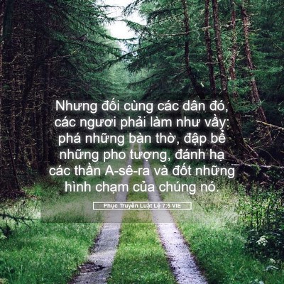 Picture 05 - Phục Truyền Luật Lệ 7:5 VIE - Nhưng đối cùng các dân đó, các ngươi - Bible Verse Picture