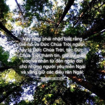 Picture 05 - Phục Truyền Luật Lệ 7:9 VIE - Vậy nên, phải nhận biết rằng - Bible Verse Picture